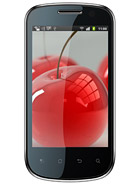 Best available price of Celkon A19 in The