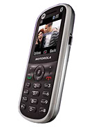 Best available price of Motorola WX288 in The