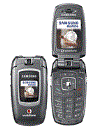 Best available price of Samsung ZV40 in The